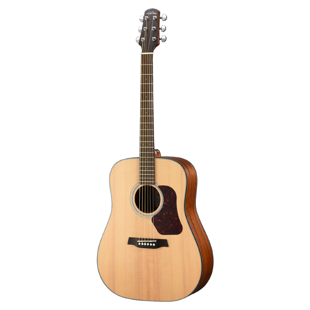 WALDEN D550E SOLID SPRUCE TOP MAHOGANY BACK & SIDES DREADNOUGHT