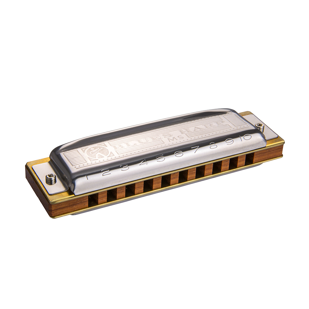 C HARMONICA DIATONIC 10 HOLE 20 REED NEW BOX