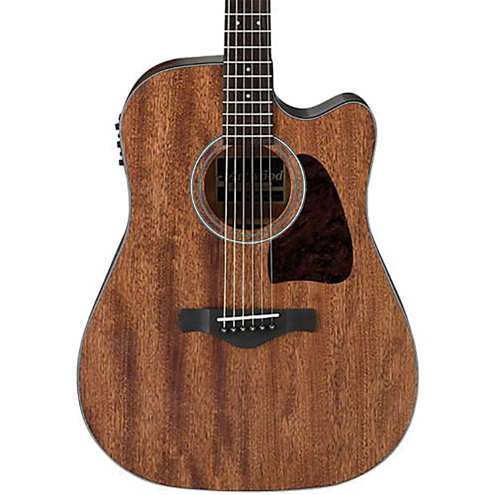 AW54CE A/E DREADNOUGHT GTR W/C-AY OPEN PORE NAT