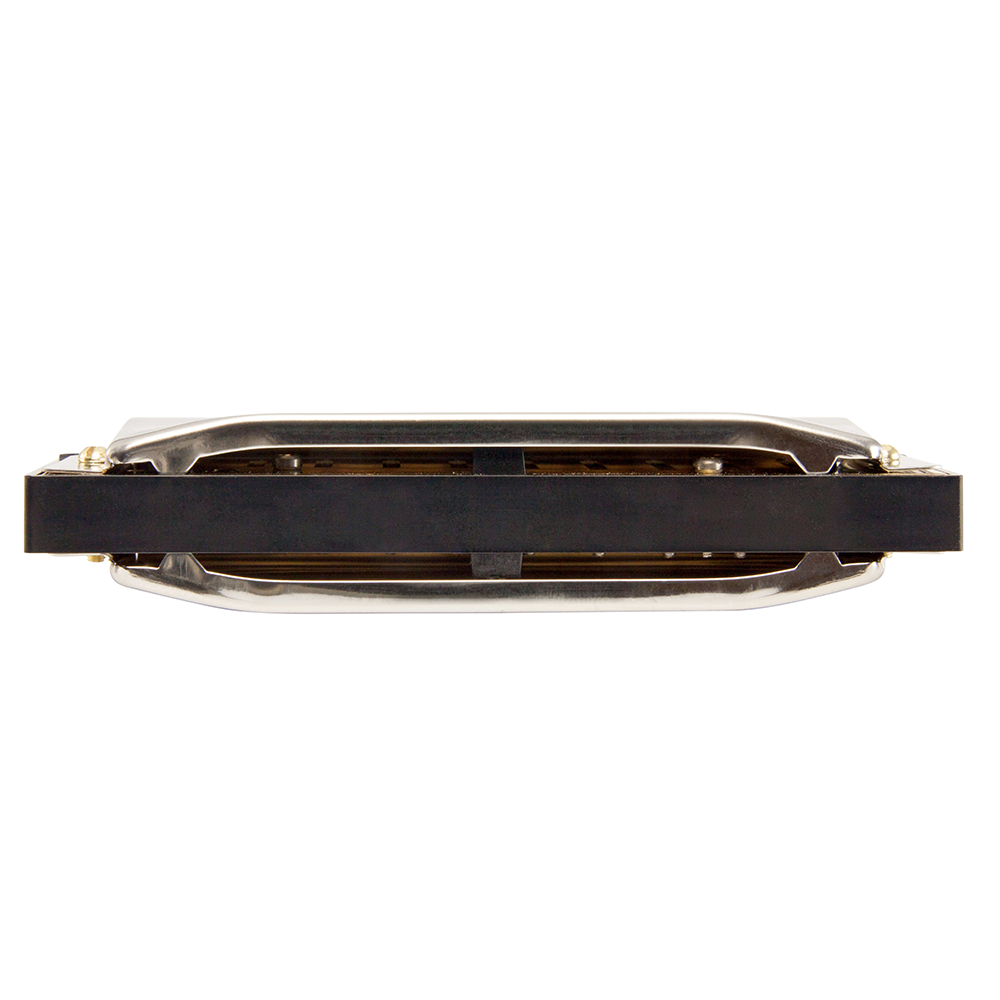 HOHNER SPECIAL 20 D HARMONICA